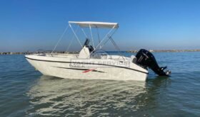 Trimarchi NICA 530 2021