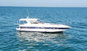 Fiart Genius 40